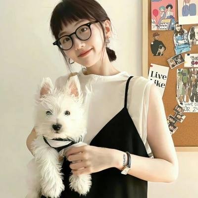 秦时明月之龙腾万里