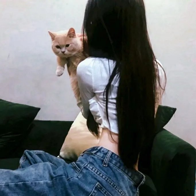 妲己不是坏狐狸 漫动画